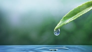 Ecosystem water drop nature background for earth day campaign